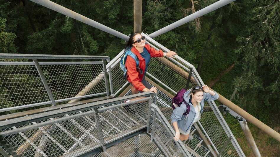 Wanderung Wildwiesenweg, (Strallegg - Wildwiesen Rundweg) - Touren-Impression #2.6 | © Bernhard Bergmann