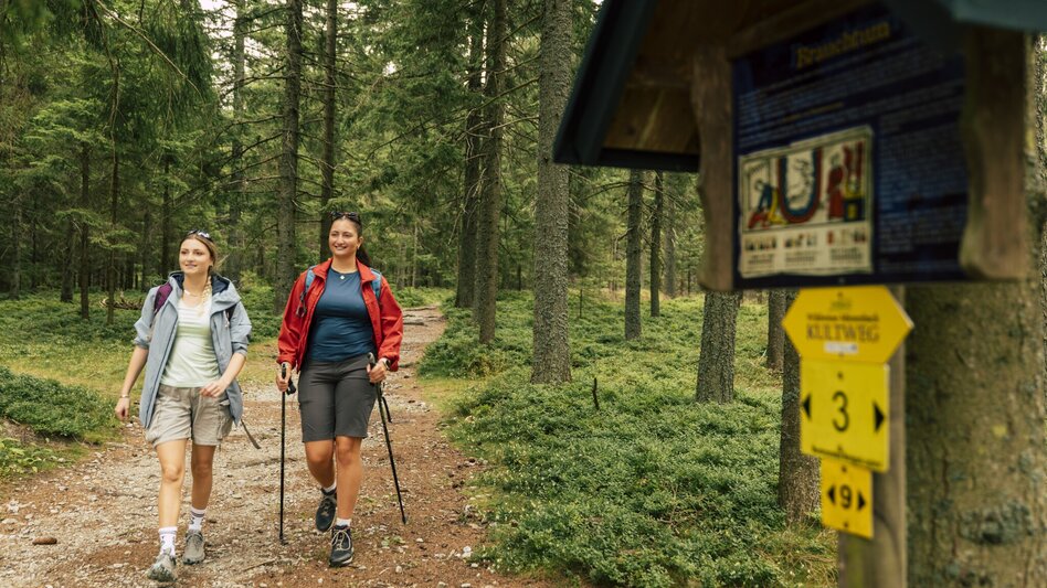 Wanderung Wildwiesenweg, (Strallegg - Wildwiesen Rundweg) - Touren-Impression #2.8 | © Bernhard Bergmann