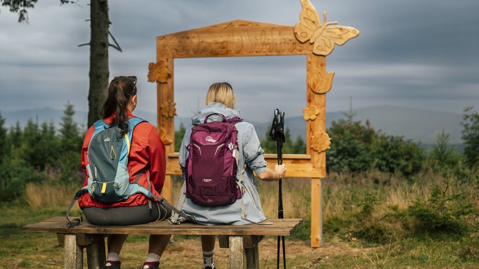 Wanderung Wildwiesenweg, (Strallegg - Wildwiesen Rundweg) - Touren-Impression #2.9 | © Bernhard Bergmann