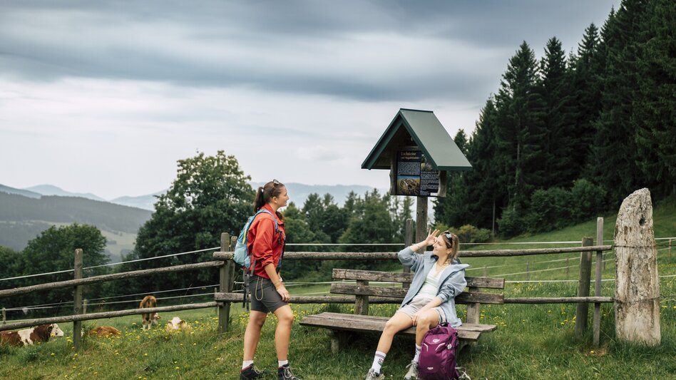 Wanderung Wildwiesenweg, (Strallegg - Wildwiesen Rundweg) - Touren-Impression #2.10 | © Bernhard Bergmann