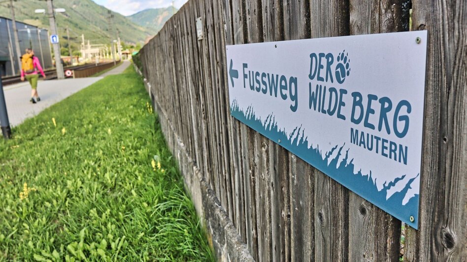 Hiking route From Mautern to the Bremstein - Touren-Impression #2.4 | © Weges OG