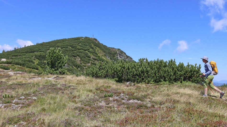 Hiking route From Mautern to the Bremstein - Touren-Impression #2.15 | © Weges OG
