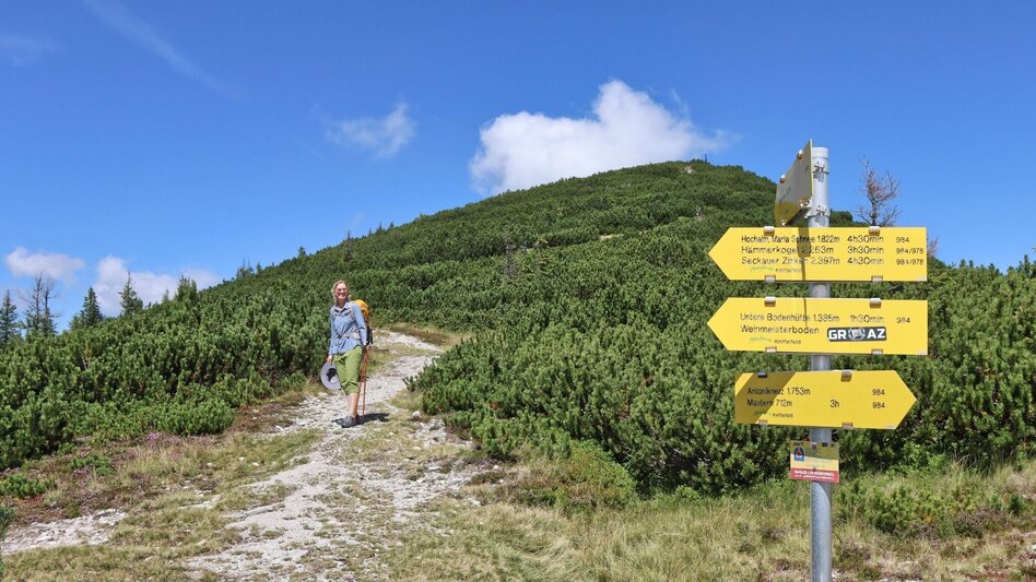 Hiking route From Mautern to the Bremstein - Touren-Impression #2.16 | © Weges OG
