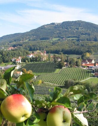 Apfeldorf Puch bei Weiz | Walter Schneider | © Oststeiermark Tourismus
