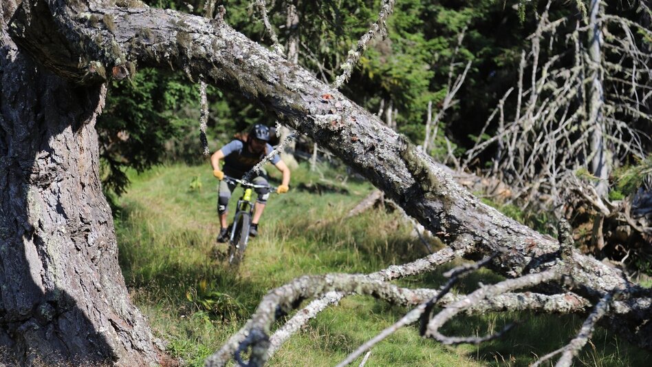 Singletrail Kärntner Grenztrail - Touren-Impression #2.4 | © Tourismusverband Murau
