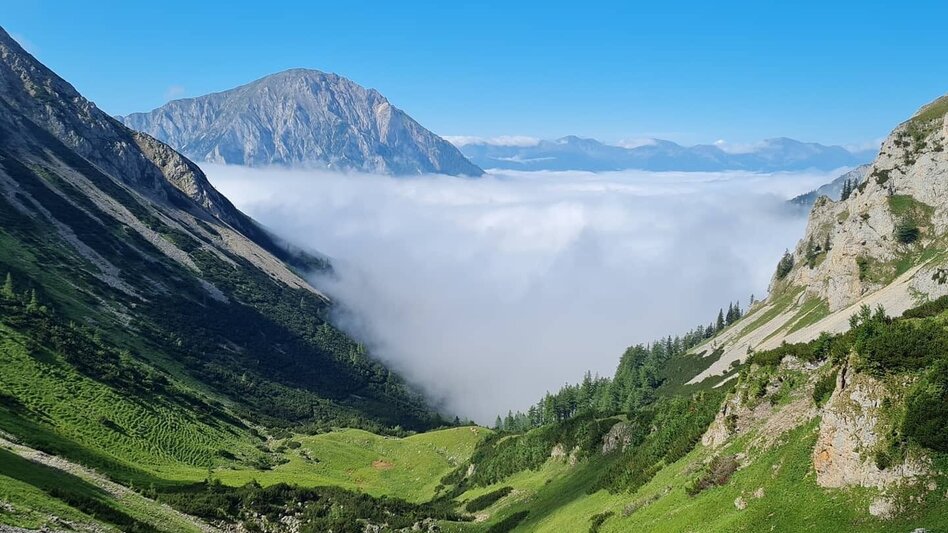 Hiking route Eisenerzer Reichenstein starting at Präbichl - Touren-Impression #2.8 | © Tourismusverband ERZBERG LEOBEN