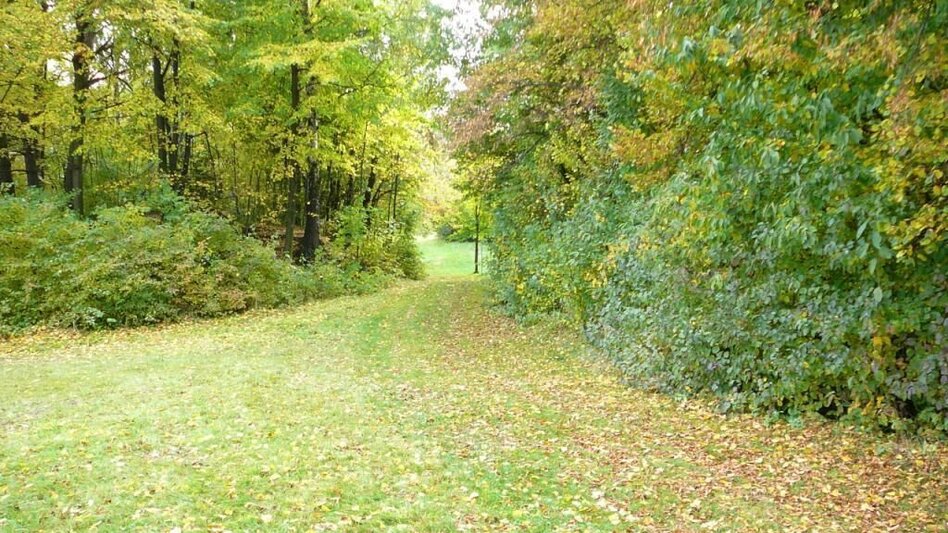 Hiking route Three mill path, Vorau - Touren-Impression #2.3 | © Manfred Glössl