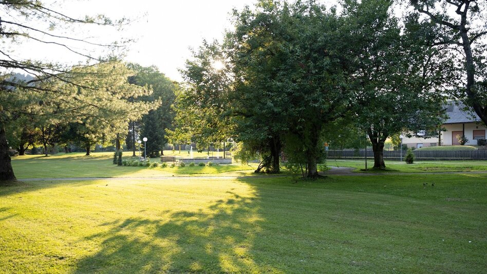 Jogging Weinberg Lauf - Touren-Impression #2.2 | © Schilcherland Steiermark