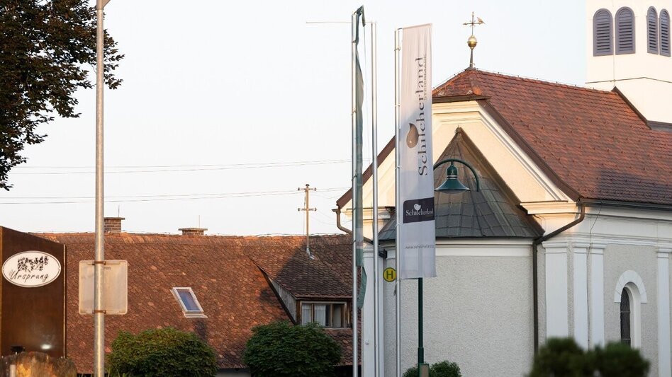 Jogging Weinberg Lauf - Touren-Impression #2.4 | © Südsteiermark