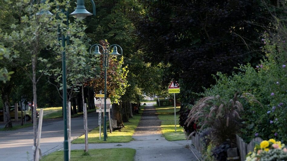 Jogging Weinberg Lauf - Touren-Impression #2.1 | © Südsteiermark