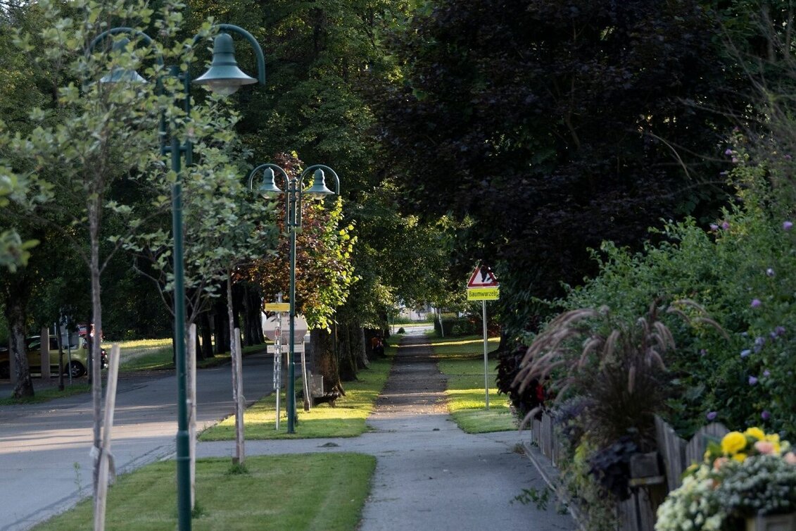 Jogging Weinberg Lauf - Touren-Impression #1 | © Südsteiermark