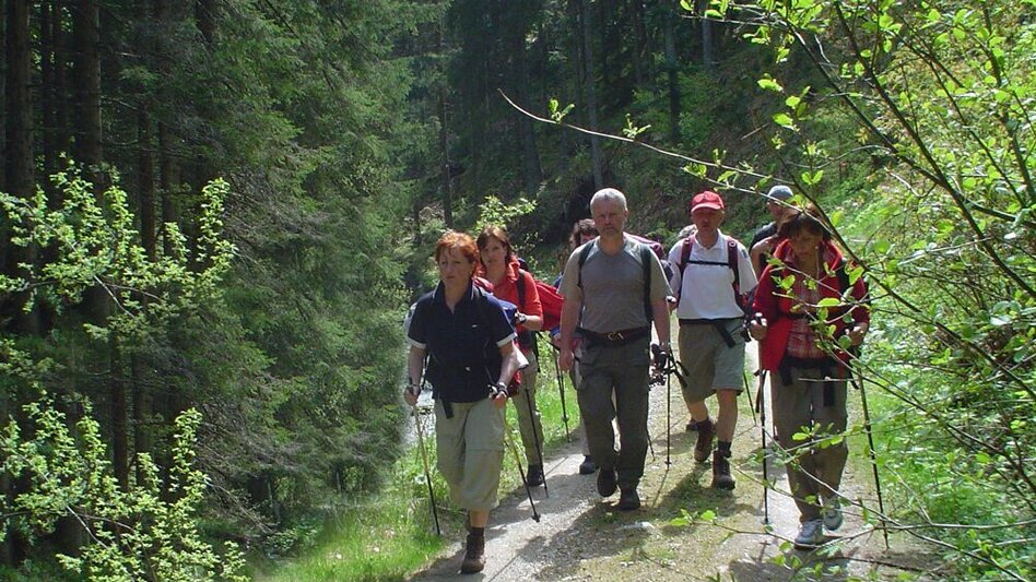 Wanderung Dörflweg, Vorau - Touren-Impression #2.2 | © Verein Vorauer Wirtschaft