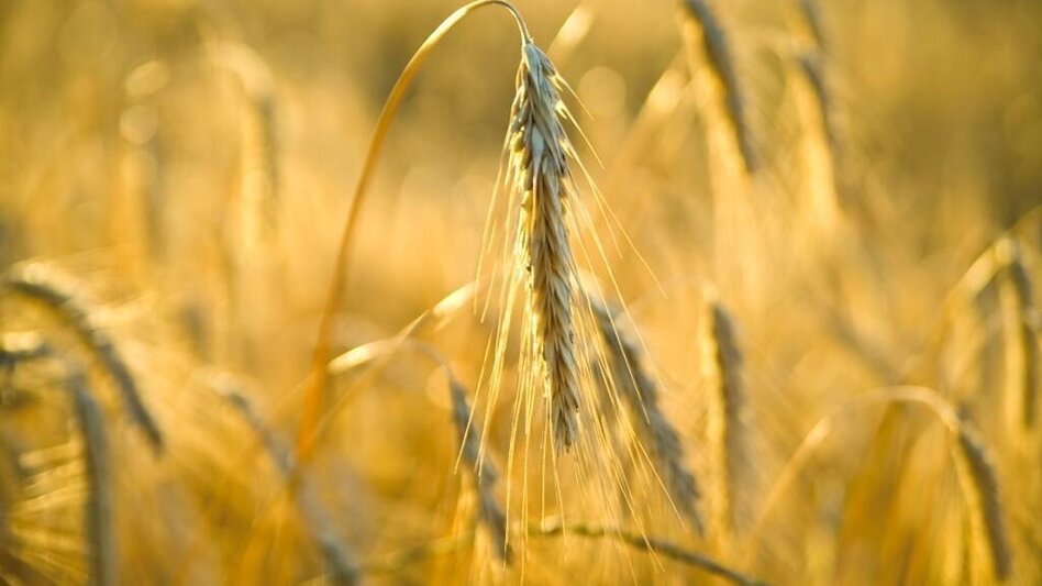 Wanderung Dörflweg, Vorau - Touren-Impression #2.5 | © Verein Vorauer Wirtschaft