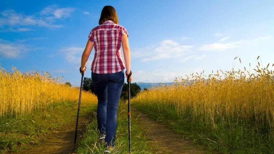 Wanderung Kammerholzweg, Vorau - Touren-Impression #2.2 | © Verein Vorauer Wirtschaft