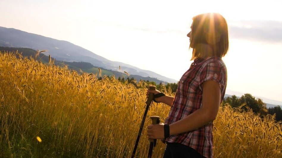 Hiking route Kring gallows circuit, Vorau - Touren-Impression #2.1 | © Verein Vorauer Wirtschaft