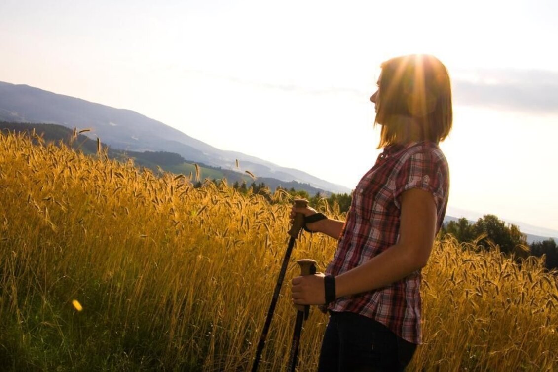 Hiking route Kring gallows circuit, Vorau - Touren-Impression #1 | © Verein Vorauer Wirtschaft