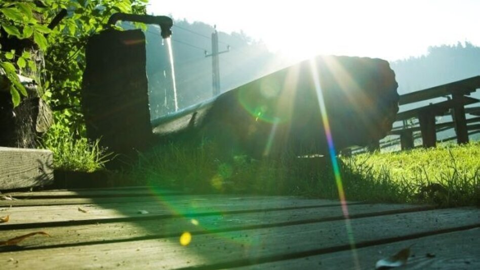 Wanderung Brühlweg, Vorau - Touren-Impression #2.3 | © Verein Vorauer Wirtschaft