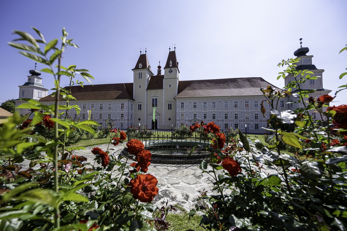 Wanderung Brühlweg, Vorau - Touren-Impression #1