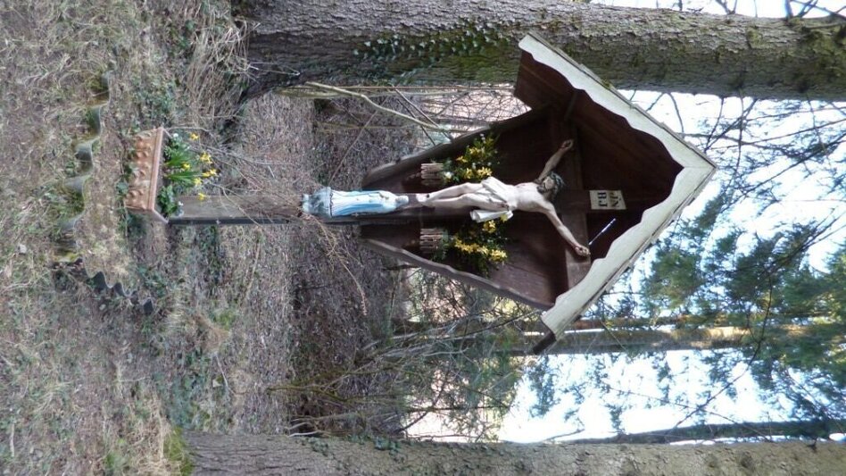 Theme path Forest nature trail, Vorau - Touren-Impression #2.2 | © Manfred Glössl