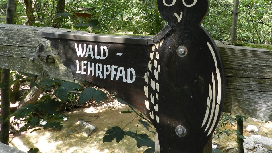 Theme path Forest nature trail, Vorau - Touren-Impression #2.1 | © Oststeiermark Tourismus