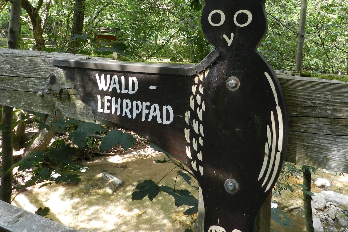 Theme path Forest nature trail, Vorau - Touren-Impression #1 | © Oststeiermark Tourismus