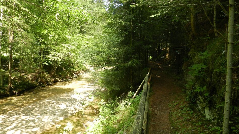 Theme path Forest nature trail, Vorau - Touren-Impression #2.6 | © Oststeiermark Tourismus