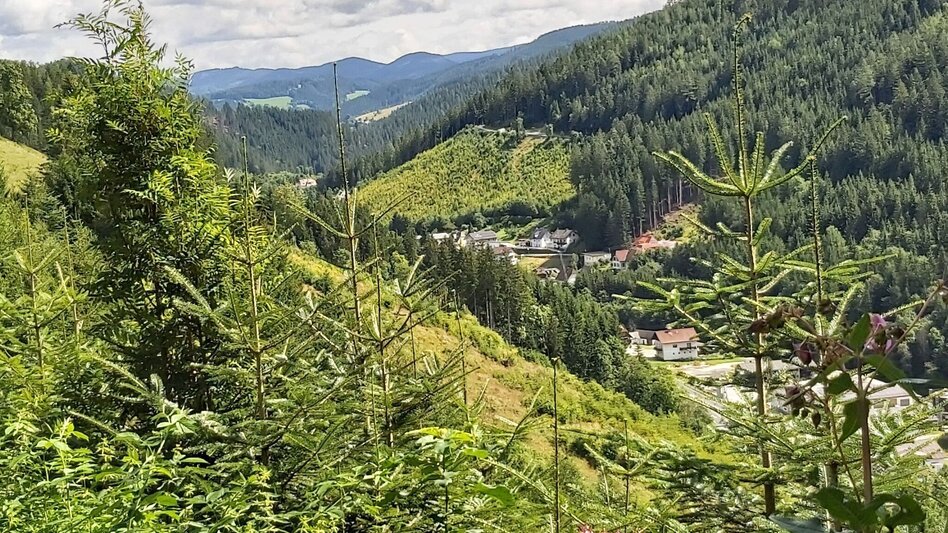 Theme path Moonway, Ratten - Touren-Impression #2.1 | © Oststeiermark Tourismus