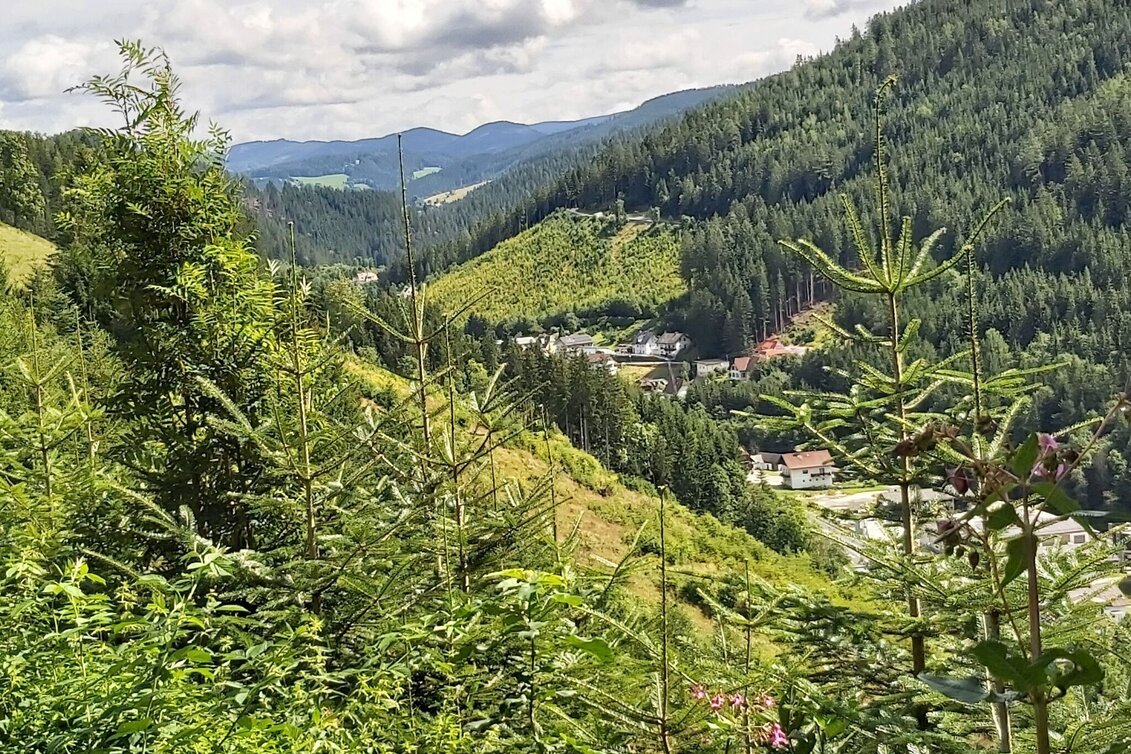 Theme path Moonway, Ratten - Touren-Impression #1 | © Oststeiermark Tourismus