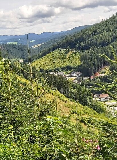 Blick nach Ratten, Joglland-Waldheimat in der Oststeiermark | © Oststeiermark Tourismus | Christine Pollhammer | © Oststeiermark Tourismus