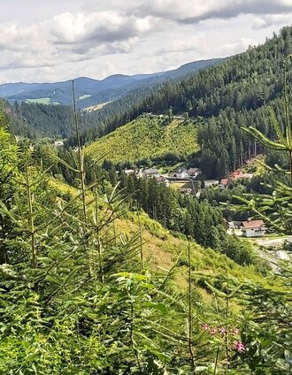 View to Ratten, Joglland-Waldheimat in Eastern Styria | Christine Pollhammer | © Oststeiermark Tourismus