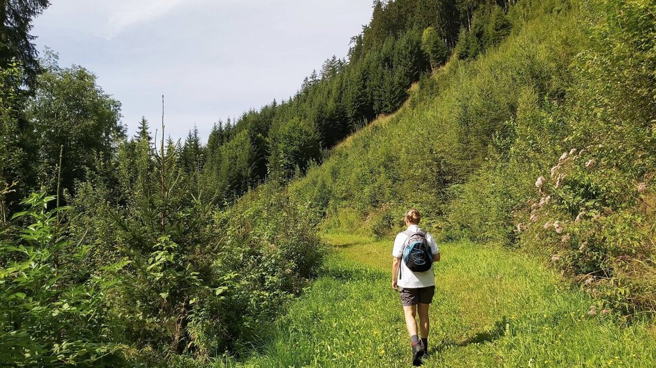 Theme path Moonway, Ratten - Touren-Impression #2.4 | © Oststeiermark Tourismus