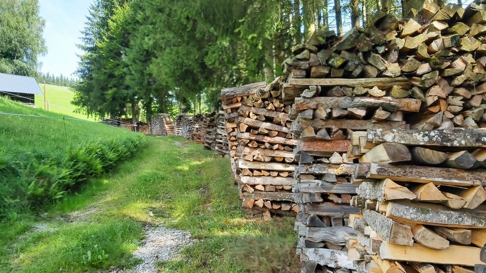 Theme path Moonway, Ratten - Touren-Impression #2.5 | © Oststeiermark Tourismus