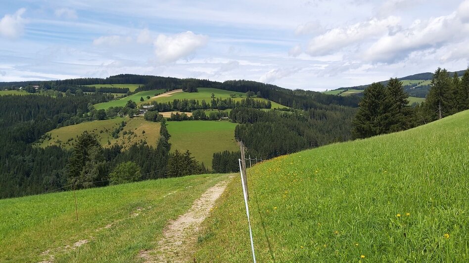 Theme path Moonway, Ratten - Touren-Impression #2.7 | © Oststeiermark Tourismus