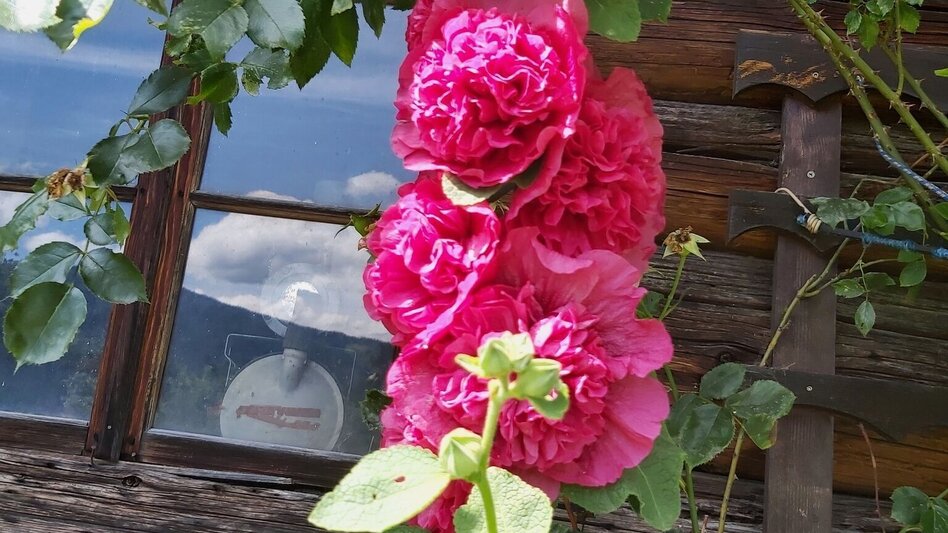 Theme path Moonway, Ratten - Touren-Impression #2.10 | © Oststeiermark Tourismus