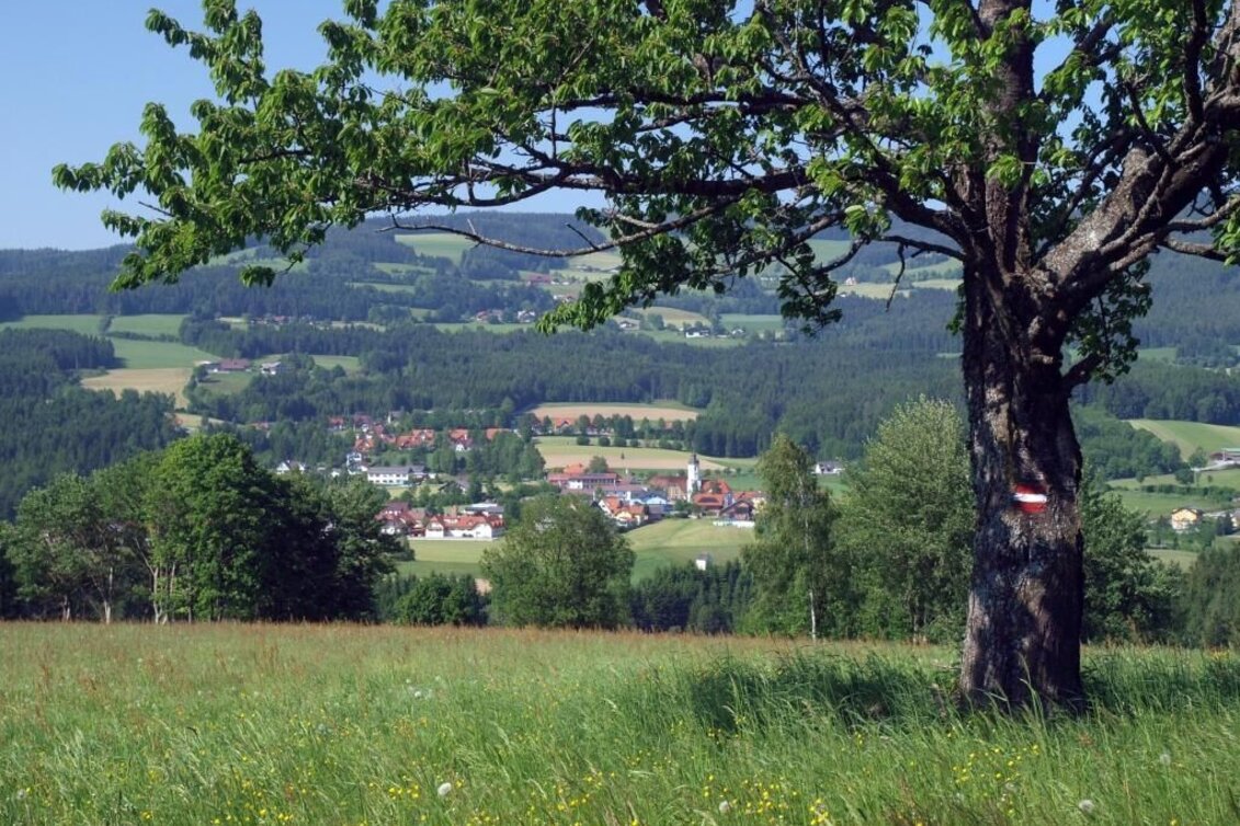 Hiking route Miesenbach-Round, Miesenbach - Touren-Impression #1 | © TV Miesenbach, Studio fotogen