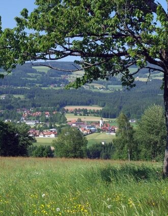 Miesenbach | TV Joglland Waldheimat | © TV Miesenbach, Studio fotogen