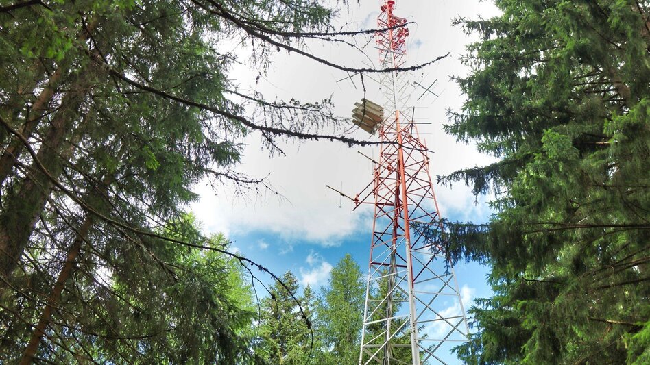Hiking route Oberzeiring - circular hike to the transmitter - Touren-Impression #2.6 | © Weges OG