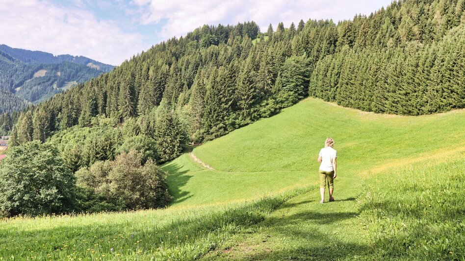 Hiking route Oberzeiring - circular hike to the transmitter - Touren-Impression #2.11 | © Weges OG