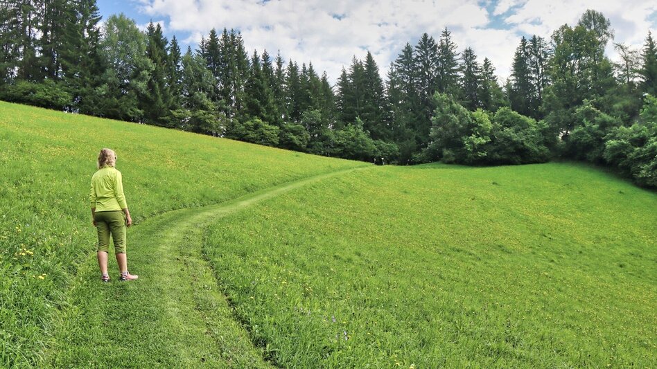 Hiking route Circular hiking trail to the Kalvarienberg church and the Hoanzl snack station - Touren-Impression #2.3 | © Weges OG