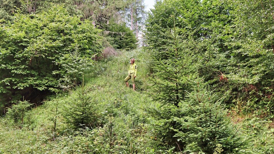 Hiking route Circular hiking trail to the Kalvarienberg church and the Hoanzl snack station - Touren-Impression #2.6 | © Weges OG
