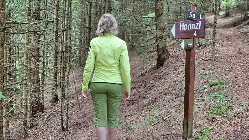 Hiking route Circular hiking trail to the Kalvarienberg church and the Hoanzl snack station - Touren-Impression #2.7 | © Weges OG