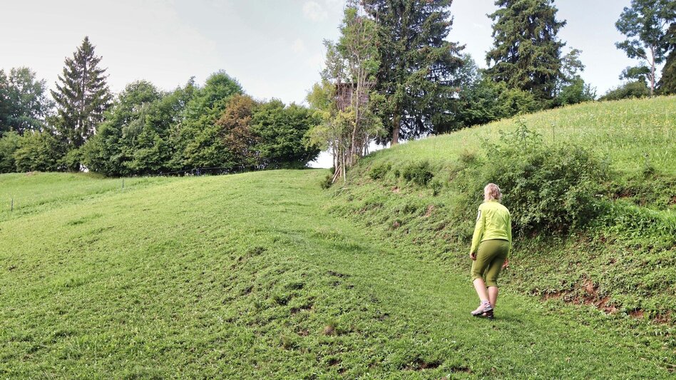 Hiking route Circular hiking trail to the Kalvarienberg church and the Hoanzl snack station - Touren-Impression #2.8 | © Weges OG