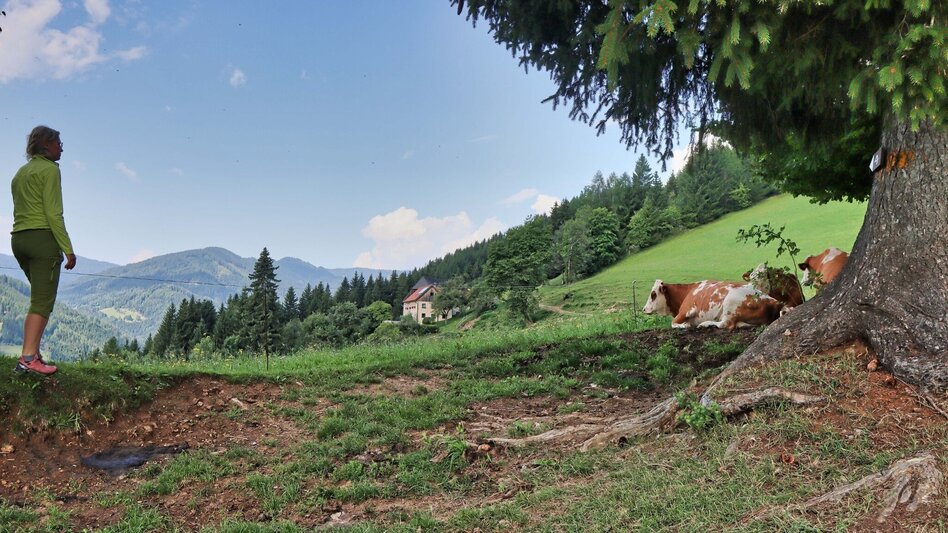 Hiking route Circular hiking trail to the Kalvarienberg church and the Hoanzl snack station - Touren-Impression #2.9 | © Weges OG
