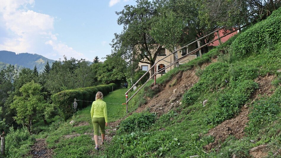 Hiking route Circular hiking trail to the Kalvarienberg church and the Hoanzl snack station - Touren-Impression #2.10 | © Weges OG
