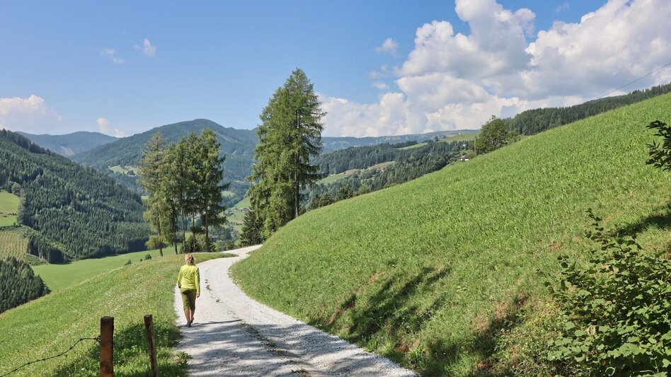 Hiking route Circular hiking trail to the Kalvarienberg church and the Hoanzl snack station - Touren-Impression #2.12 | © Weges OG