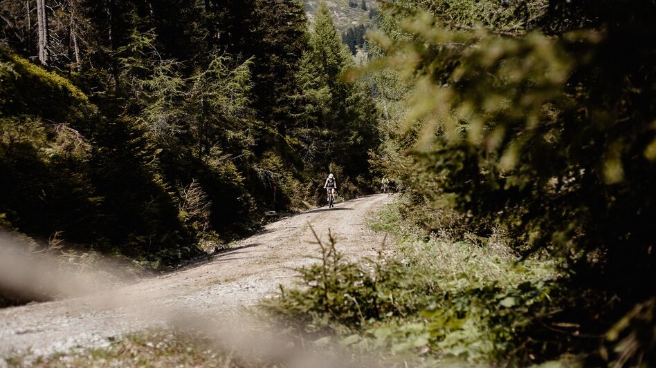 Mountain Biking Tour H3 - MTB - Wichtelhütte - Touren-Impression #2.2 | © Damira Slodnjak