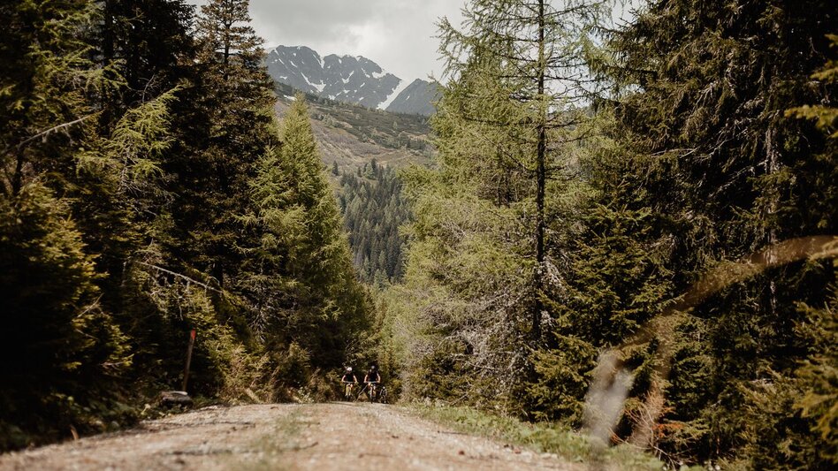 Mountain Biking Tour H3 - MTB - Wichtelhütte - Touren-Impression #2.3 | © Damira Slodnjak