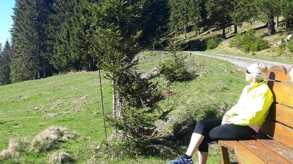 Mountain Biking Tour  - MTB - Hasensattel - Touren-Impression #2.2 | © Erlebnisregion Murtal