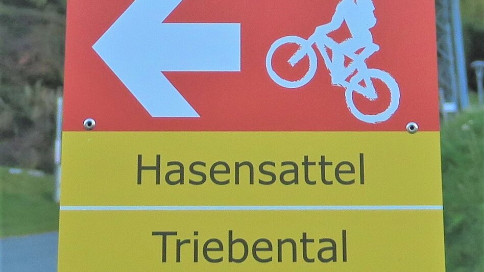 Mountain Biking Tour  - MTB - Hasensattel - Touren-Impression #2.4 | © Erlebnisregion Murtal