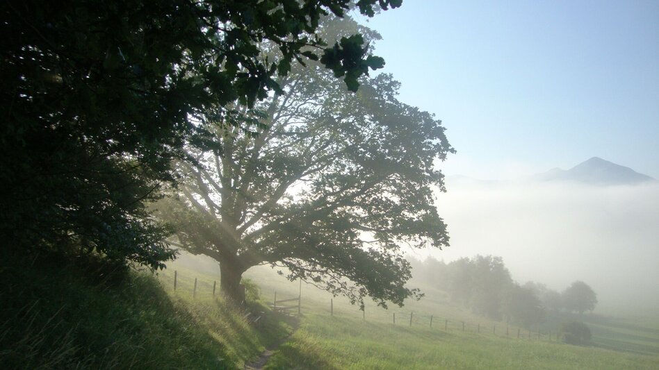 Hiking route F.X. Mayr Way - Touren-Impression #2.1 | © Erlebnisregion Schladming-Dachstein